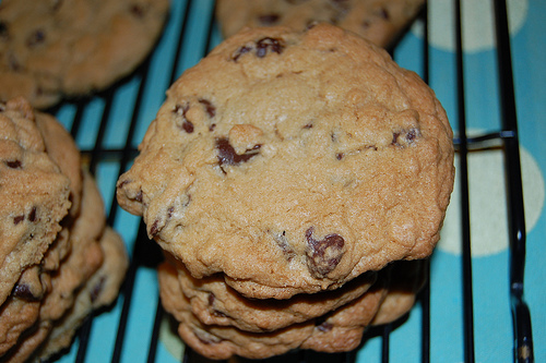 stacks and stacks of cookies!