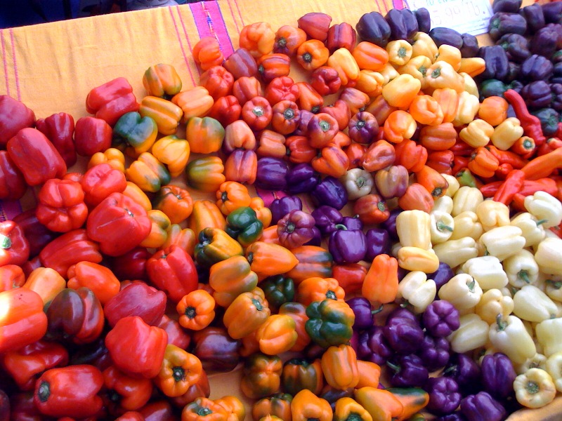 beautiful bell peppers