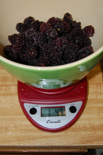20 oz of blackberries