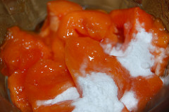 persimmons and baking soda, ready to blend