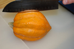 acorn squash