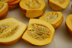 squash halves