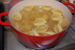 shells are boiling