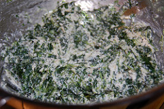 ricotta parm spinach mixture